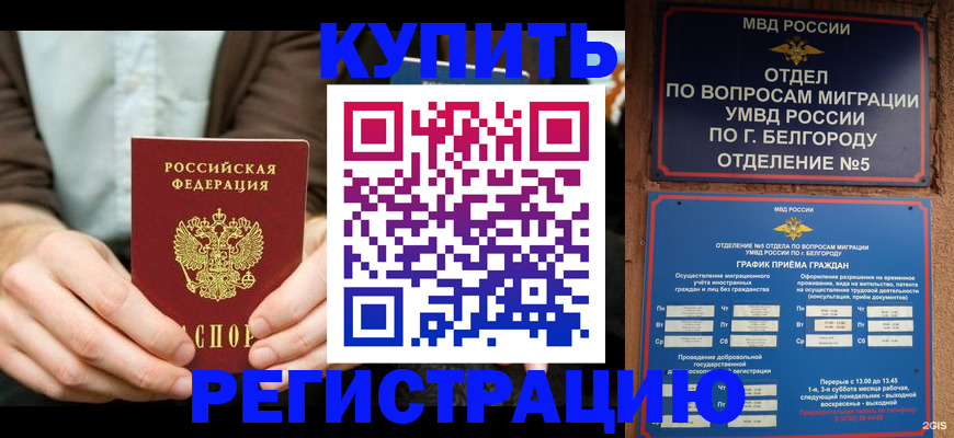 прописка 2025 в Черногорске